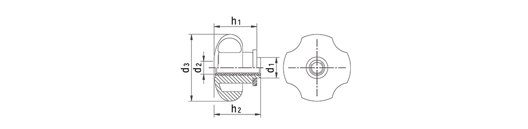 Disegno tecnico